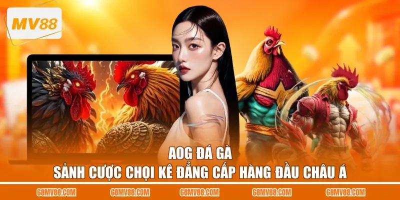 AOG Đá Gà - Sảnh Cược Chọi Kê Đẳng Cấp Hàng Đầu Châu Á