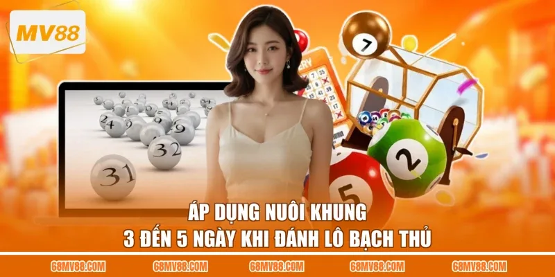 Áp dụng nuôi khung 3 đến 5 ngày khi đánh lô bạch thủ