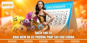 Bạch Thủ Lô - Khái Niệm Và 03 Phương Pháp Soi Cầu Chuẩn