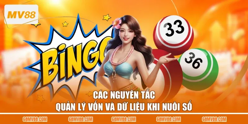Các nguyên tắc quản lý vốn và dữ liệu khi nuôi số