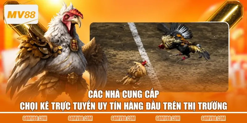 Các nhà cung cấp chọi kê trực tuyến uy tín hàng đầu trên thị trường