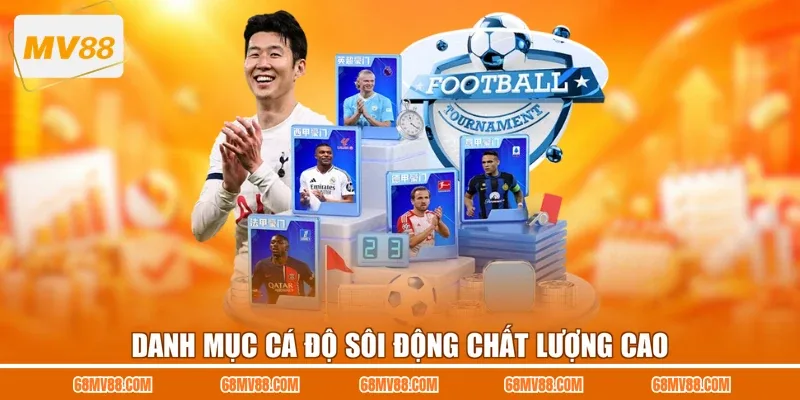 Danh mục cá độ sôi động chất lượng cao