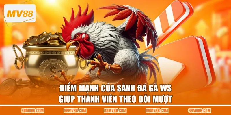 Điểm mạnh của sảnh đá gà WS giúp thành viên theo dõi mượt