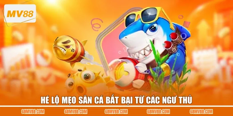Hé lộ mẹo săn cá bất bại từ các ngư thủ
