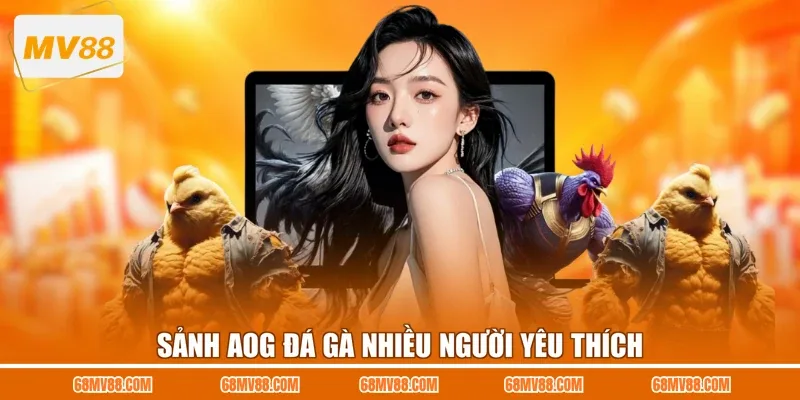 Sảnh AOG đá gà nhiều người yêu thích