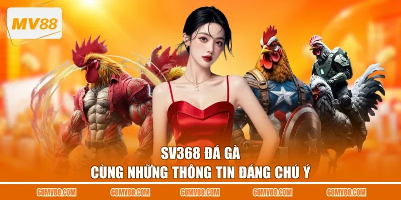 SV368 đá gà cùng những thông tin đáng chú ý