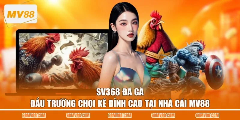 SV368 Đá Gà - Đấu Trường Chọi Kê Đỉnh Cao Tại Nhà Cái MV88