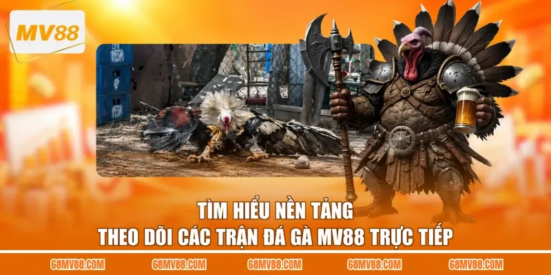 Tìm hiểu nền tảng theo dõi các trận đá gà MV88 trực tiếp
