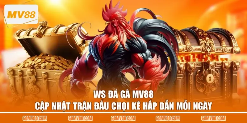 Ws Đá Gà MV88 - Cập Nhật Trận Đấu Chọi Kê Hấp Dẫn Mỗi Ngày
